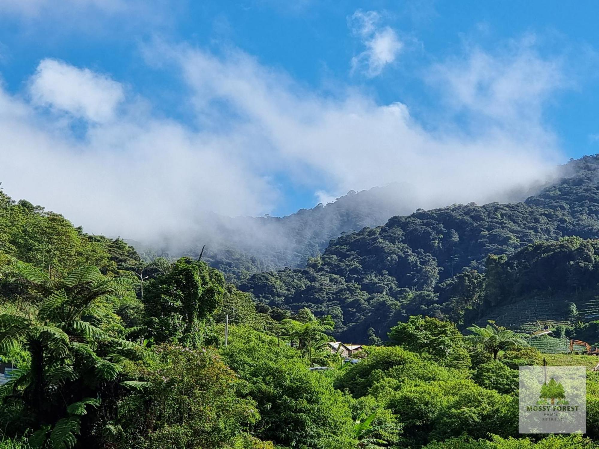 Pangsapuri Mossy Forest Family Retreat Ii, 2-8 Pax, Cameron Highlands