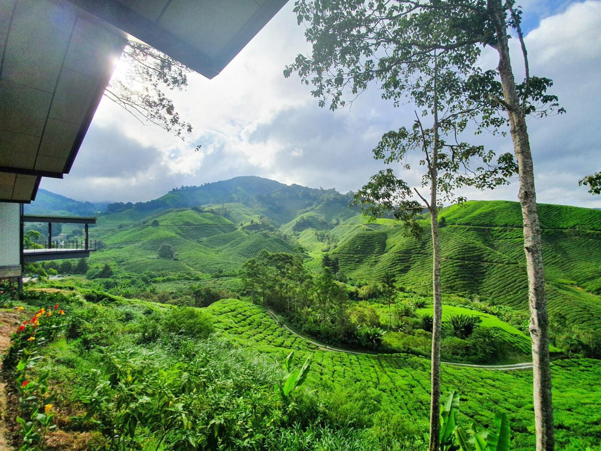 Pangsapuri Mossy Forest Family Retreat Ii, 2-8 Pax, *